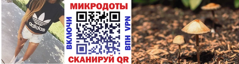 Псилоцибиновые грибы ЛСД  Няндома 